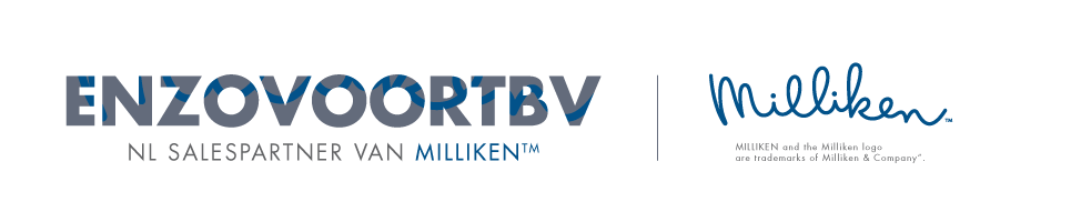 Enzovoort BV